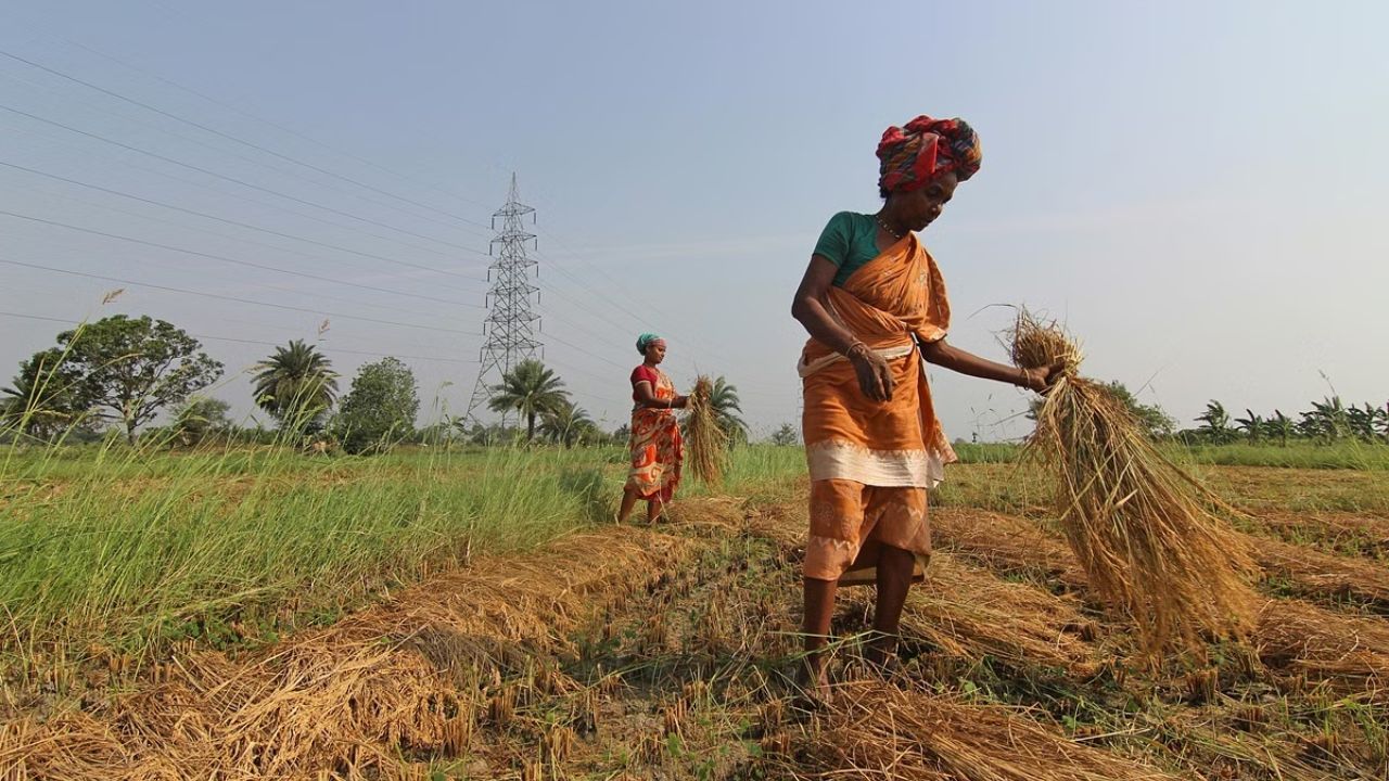 Usthadian Academy / Government Raises Authorized Capital Of FCI From ₹10,000 Crore To ₹21,000 Crore | 21 feb 2024 Usthadian Academy / Government Raises Authorized Capital Of FCI From ₹10,000 Crore To ₹21,000 Crore